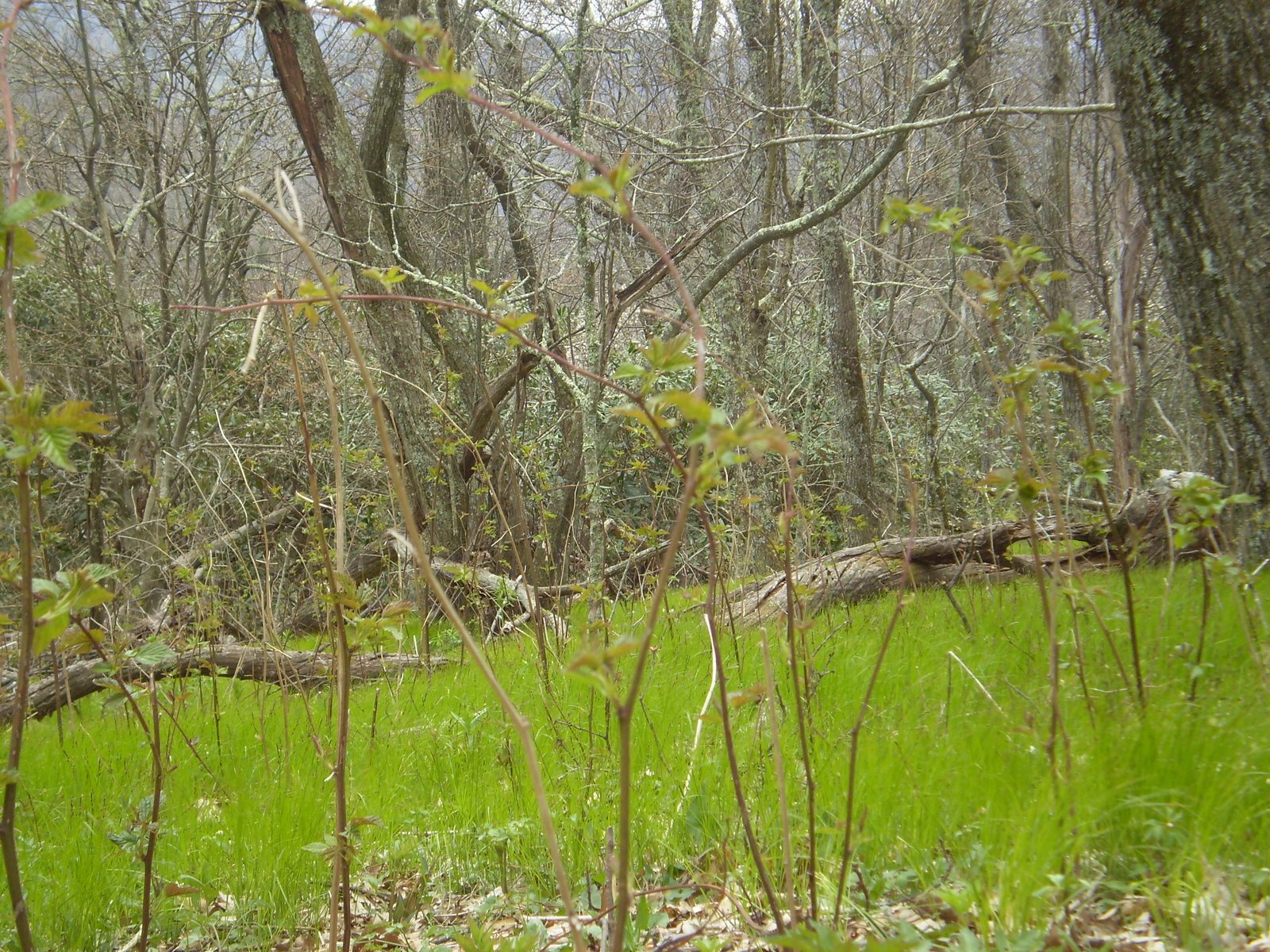 [P5070018.JPG]