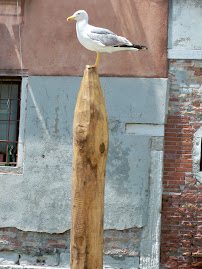 A bird on a post . . .