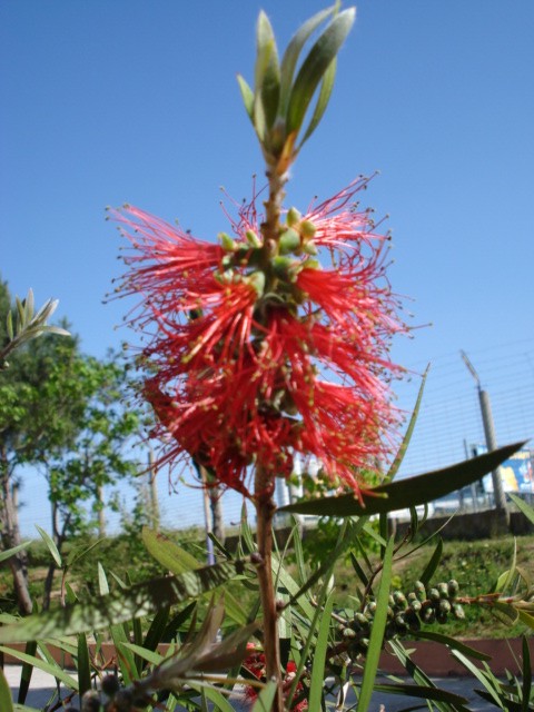 [DSC00349.JPG]