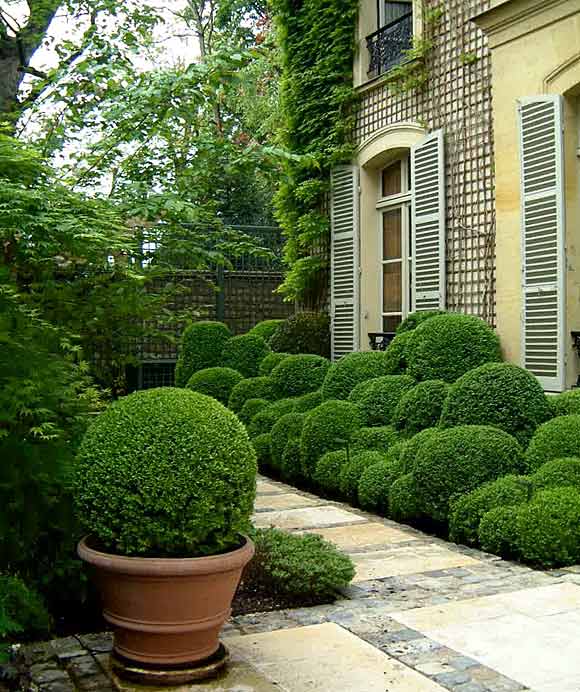 BOXWOOD TERRACE Now this is a Boxwood Terrace....