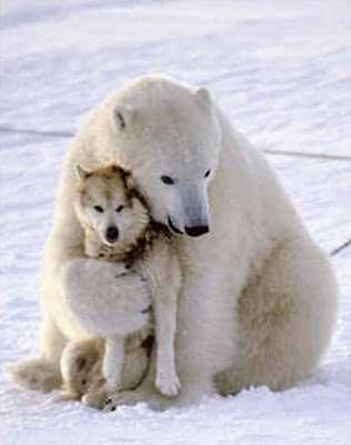 abrazo-