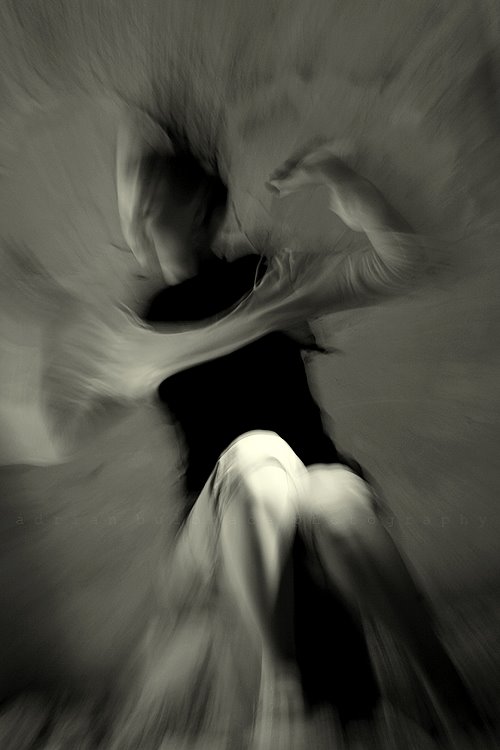[fly.bmp]