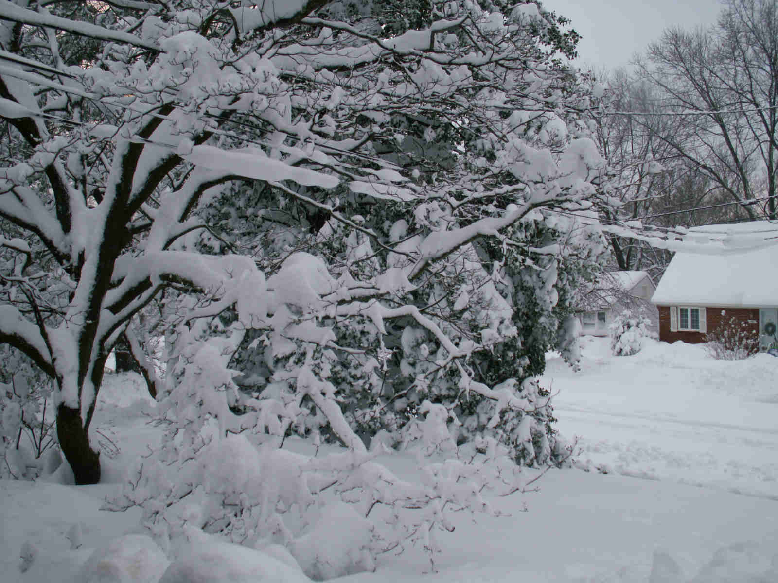 [SnowMyGosh-2.jpg]