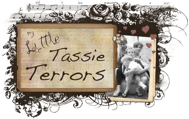 Little Tassie Terrors