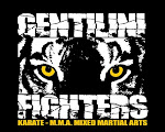 BLOG GENTILINI ARTES MARCIAIS MMA KARATE JIU JITSU K1 MUAY THAI CAPOEIRA