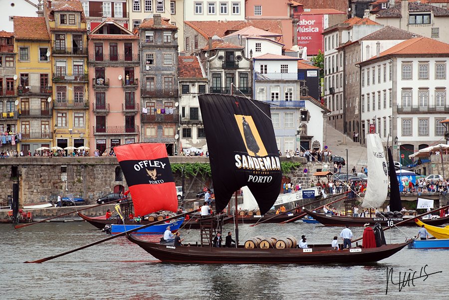 [RUICS_Rabelos05.jpg]