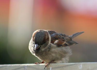 [IMG_3689.jpg]