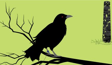 [1---Crow.jpg]