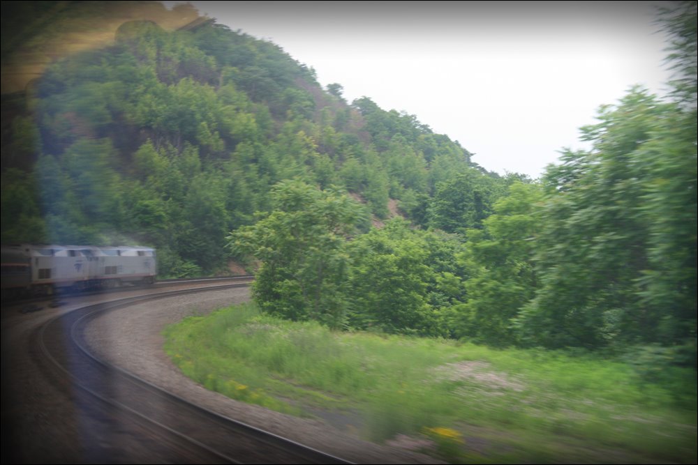 [IMG_5545.jpg]