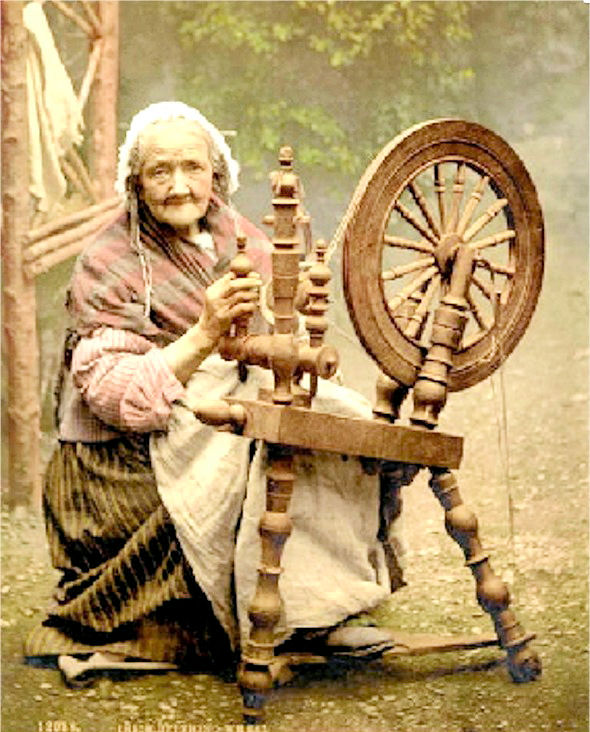 [A+SPINNER.jpg]