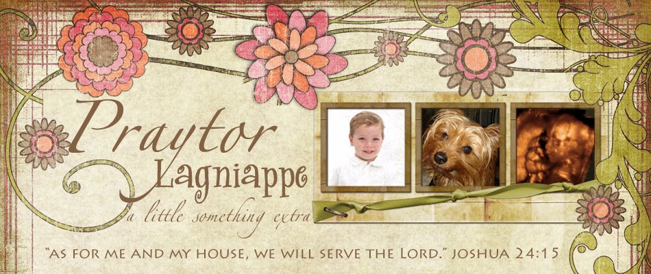 Praytor Lagniappe