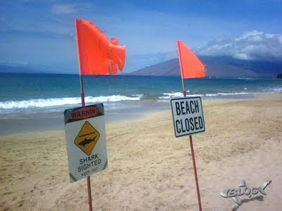 playa Maui cerrada