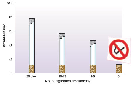 Casual Girl Clothes Effect Of Smoking On Blood