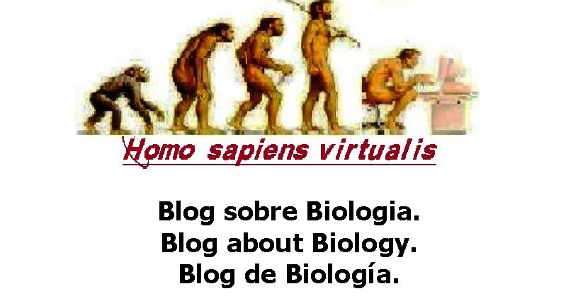 Homo sapiens virtualis