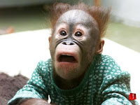 Shocked!