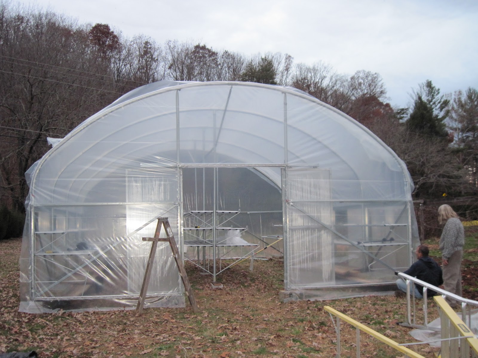 Who Is Virginia? Greenhouse Plastic