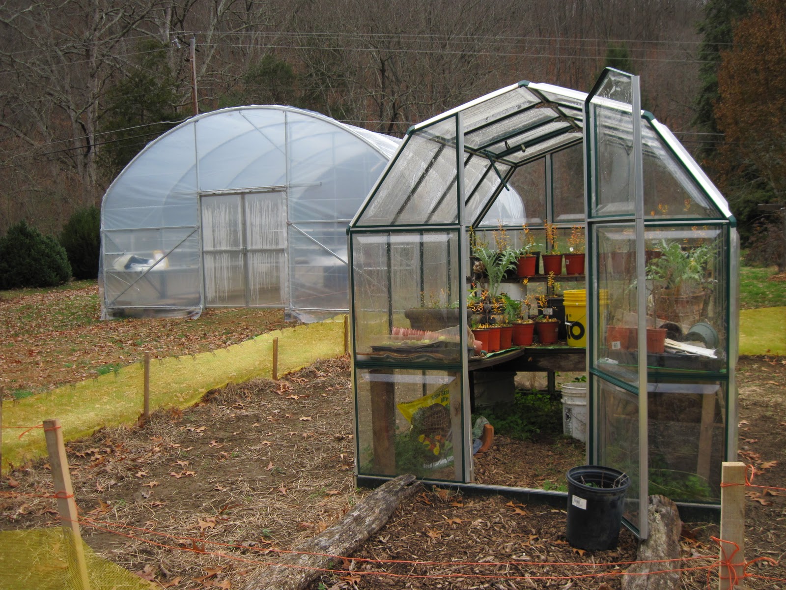 Who Is Virginia? Greenhouse Compost