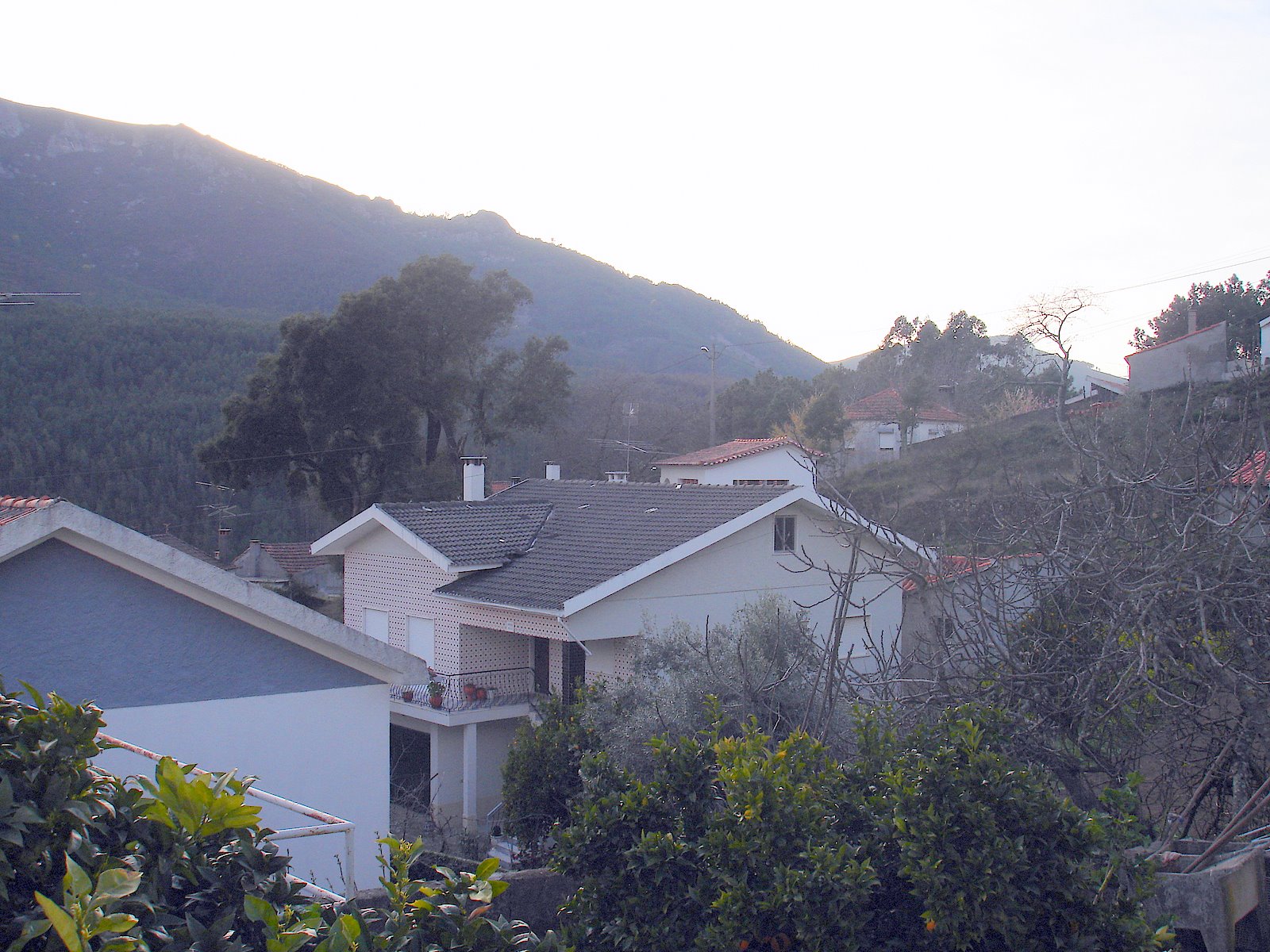 [DSC06082.JPG]