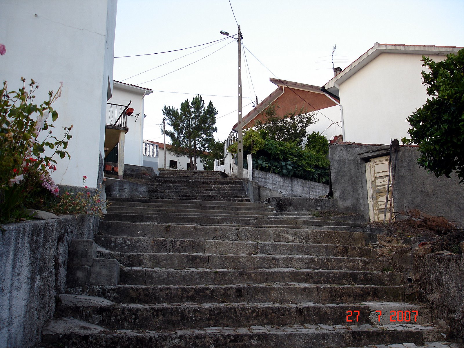 [DSC03692.JPG]