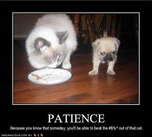 understanding the virtue of patience Patience is a virtue, is patience a virtue the related terms are “love” and “understanding” and “family” and “peace. understanding the virtue of patience Patience is a virtue, is patience a virtue the related terms are “love” and “understanding” and “family” and “peace.
