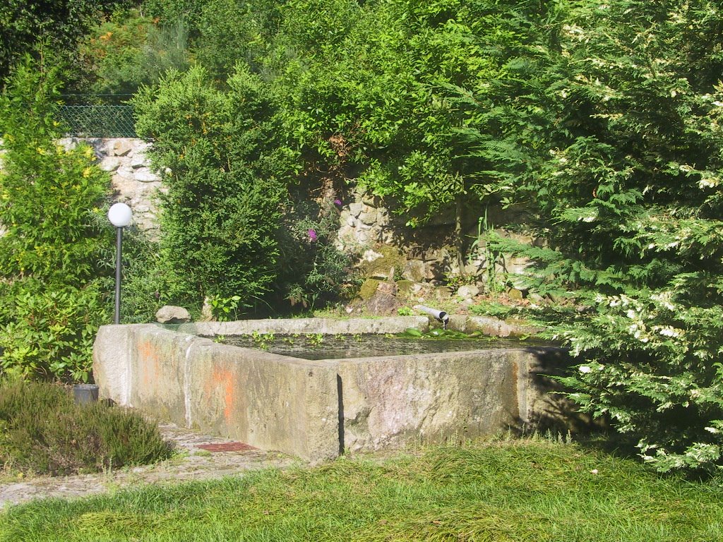 [IMG_2004.JPG]