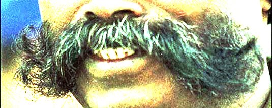 [Bigodes+copy.jpg]