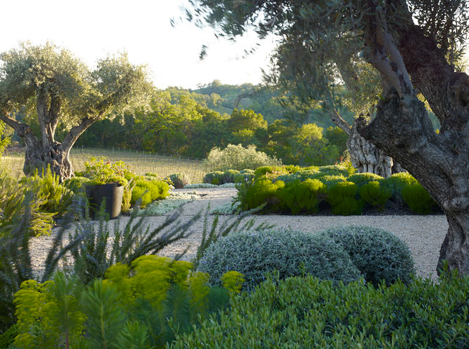 another garden gawker andrea cochran landscape architecture another garden gawker andrea cochran landscape architecture
