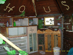 rack & teche per arboricoli e quarantena
