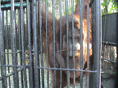 Manila Zoo, Phillipines