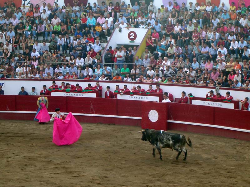 [RM_Angra_280608.JPG]