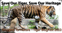 Tiger Blogfest 2010