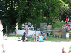 Performing chickens!