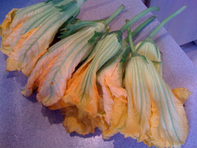 Navy Blue Kitchen Fried Squash Blossoms with Goat Cheese