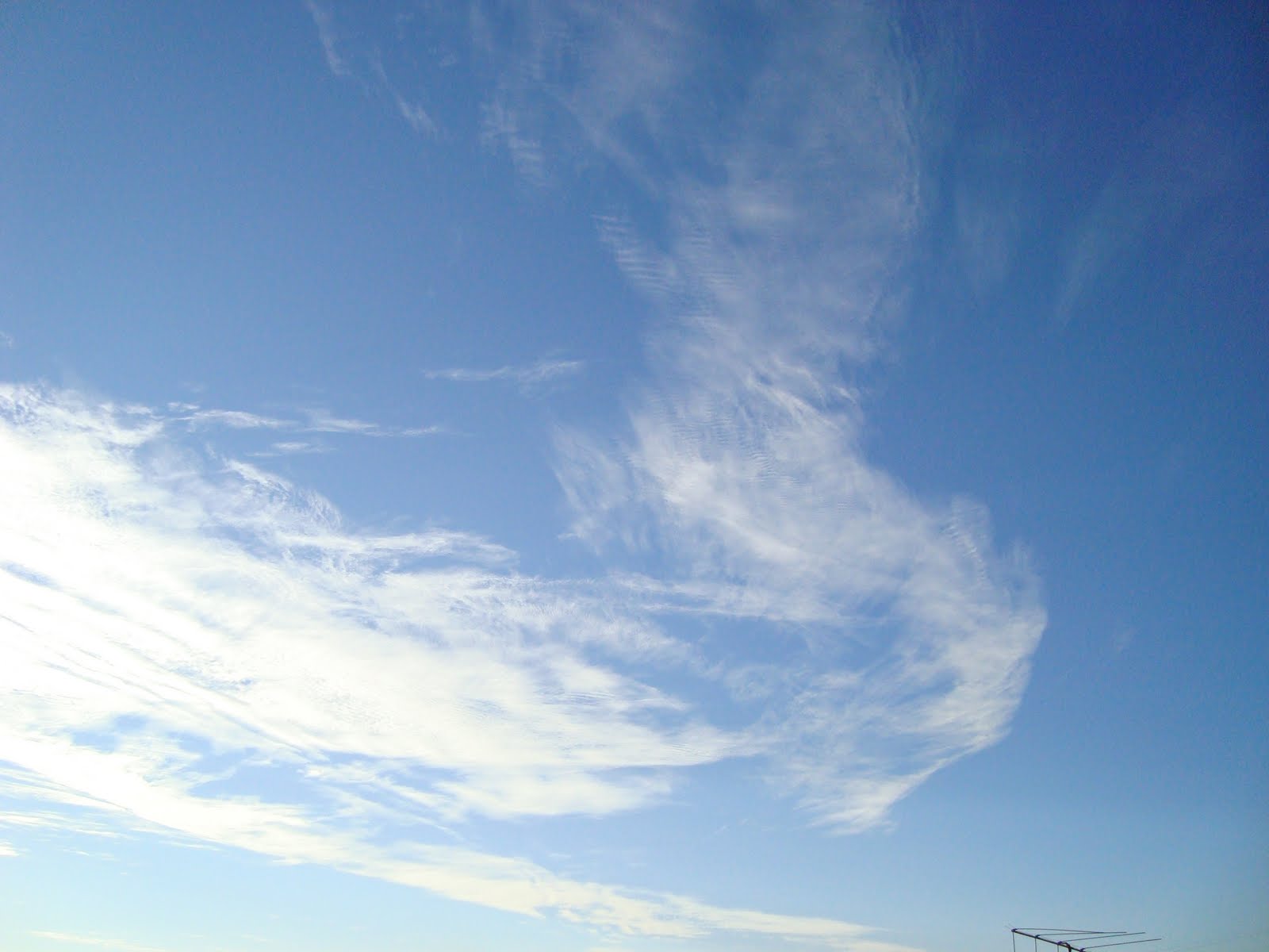 [DSC00482.JPG]