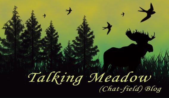 Talking Meadow