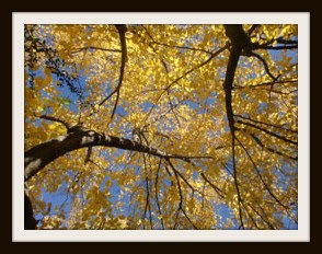 Otoño en la Mancha