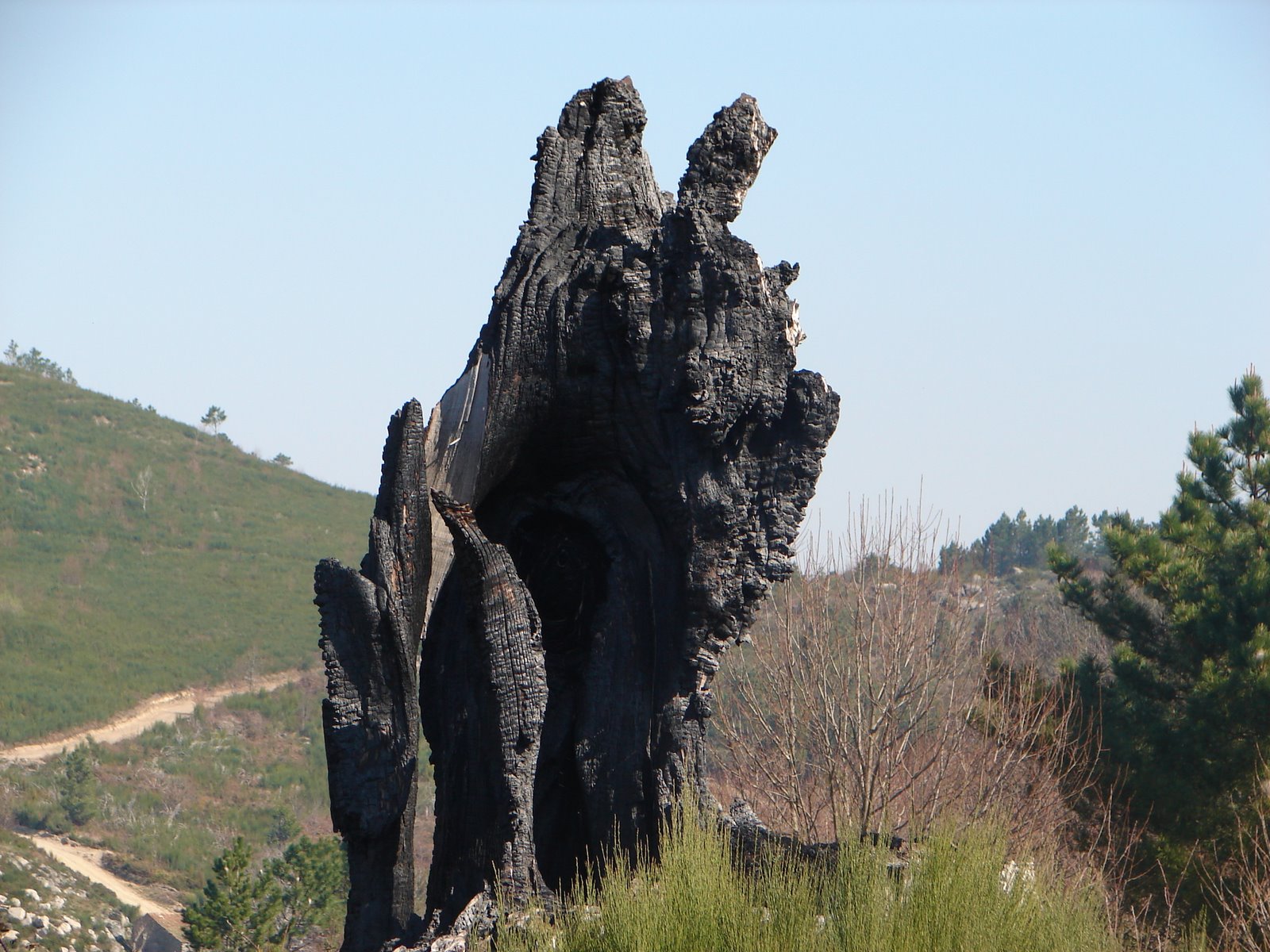 [DSC05646.JPG]
