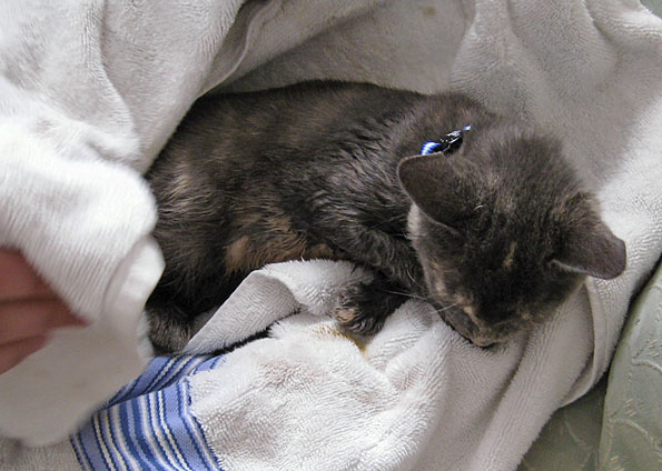 [0,,18693205-FMM,00.jpg]