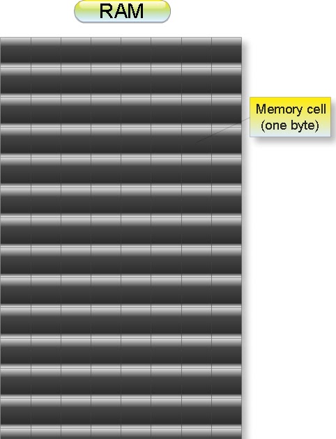 questions and answers on computer memory Basic computer knowledge questions are questions keyboard, memory chips, and microsoft word or other word processing programs are also acceptable answers. questions and answers on computer memory Basic computer knowledge questions are questions keyboard, memory chips, and microsoft word or other word processing programs are also acceptable answers.