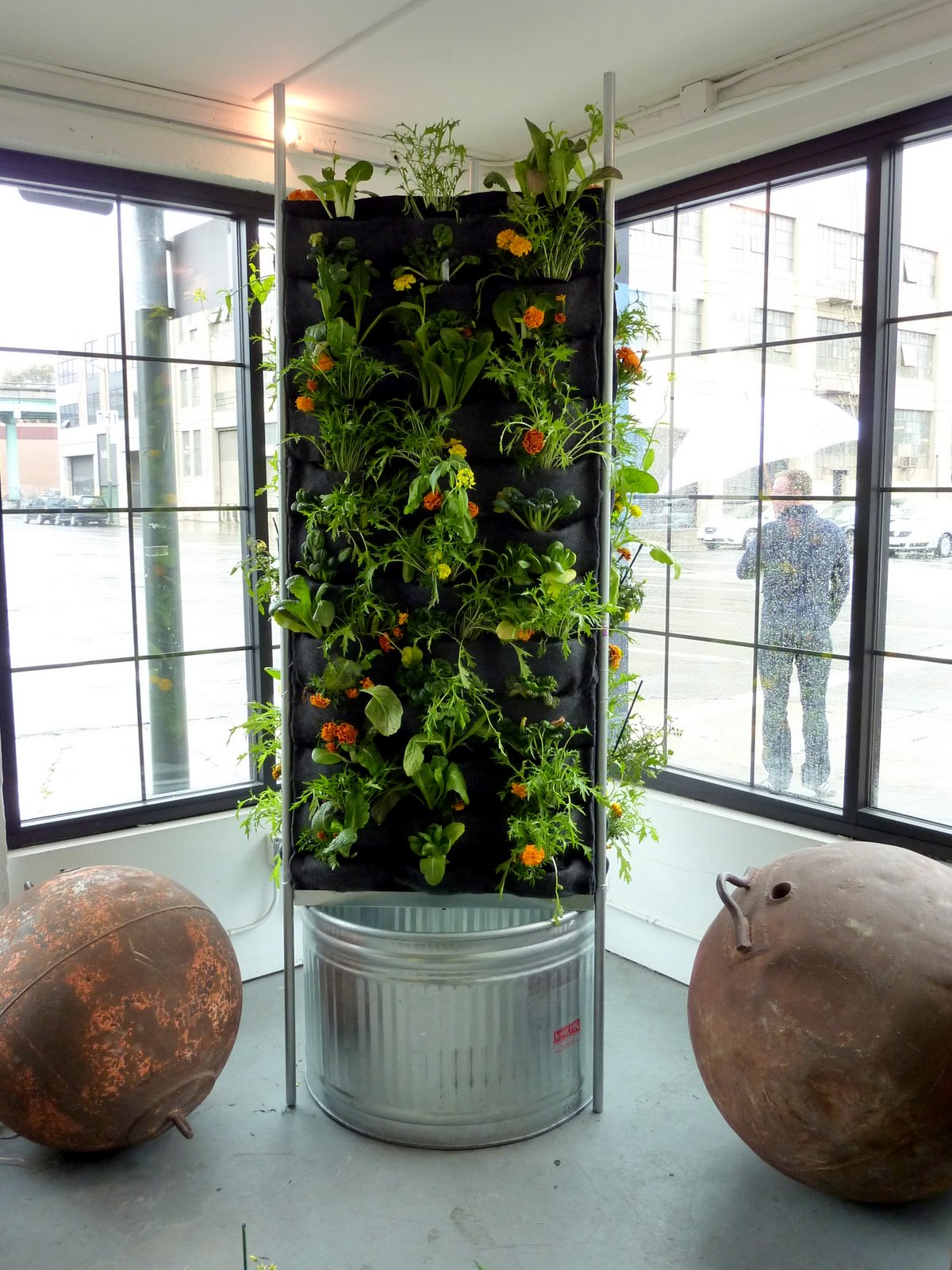  On Walls vertical garden systems: Aquaponic Vertical Vegetable Garden