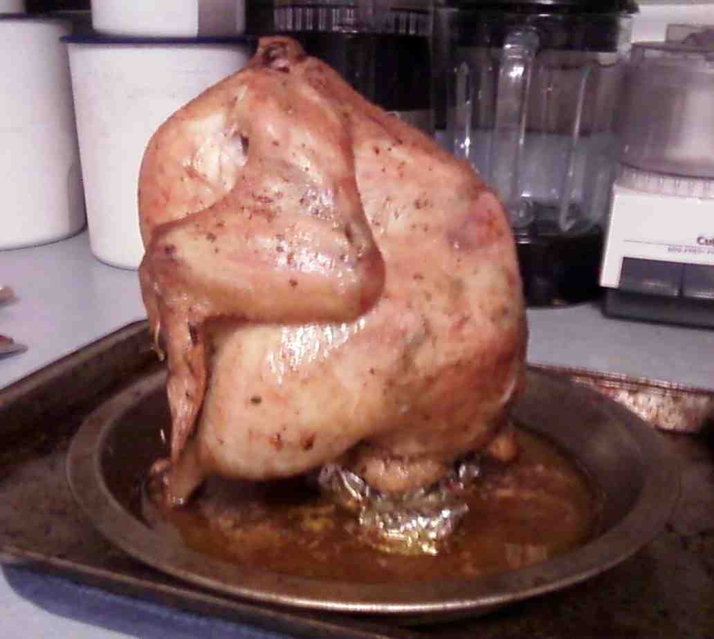 Kissing the Cook Ginger Beer Can Chicken
