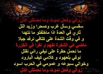 زوالي وفحل