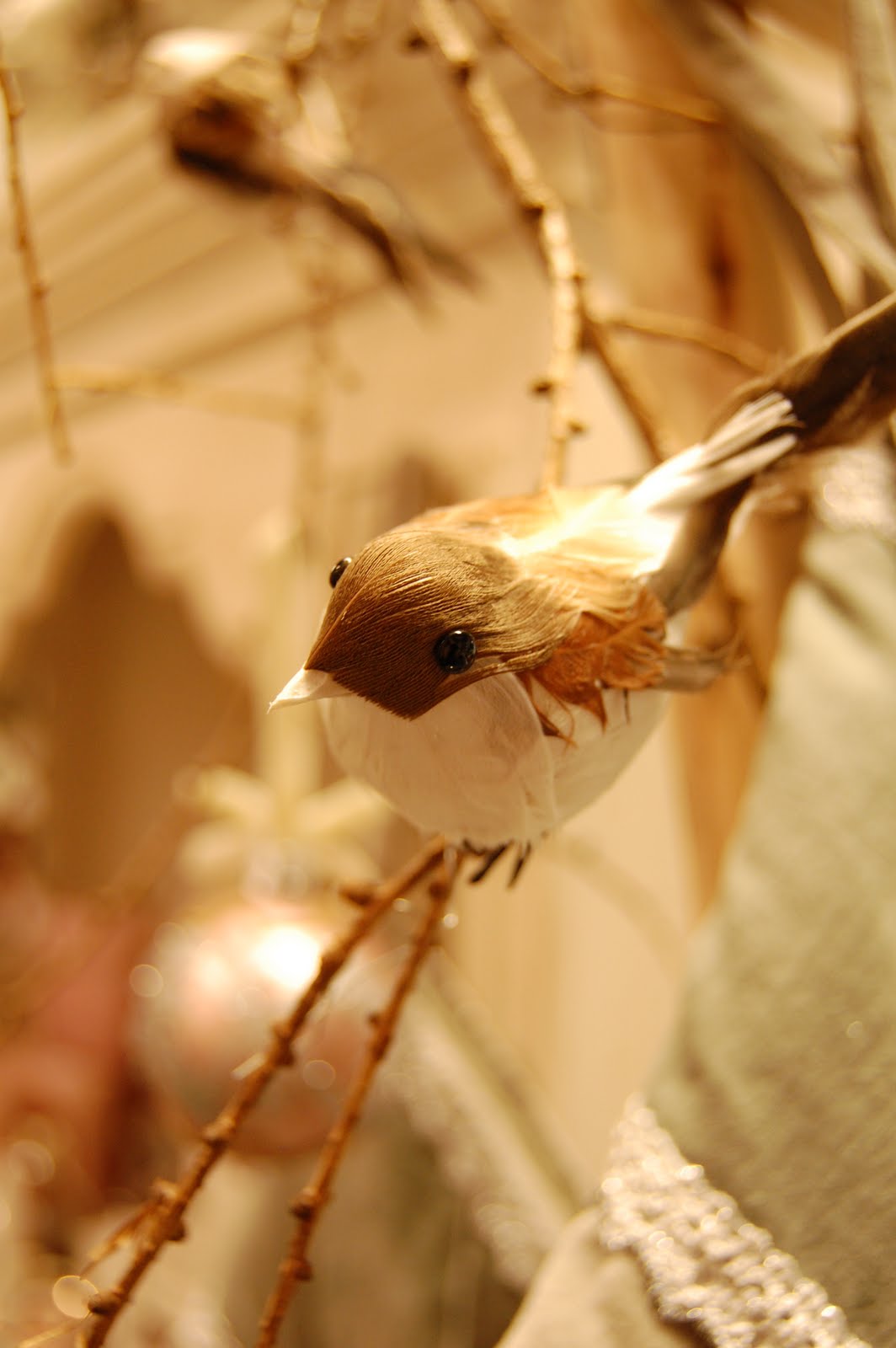 [DSC_0310.JPG]