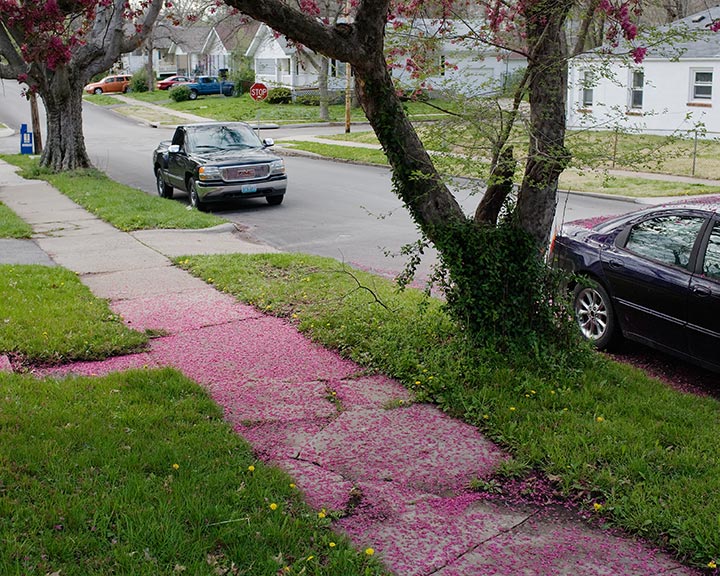 [Spring.jpg]
