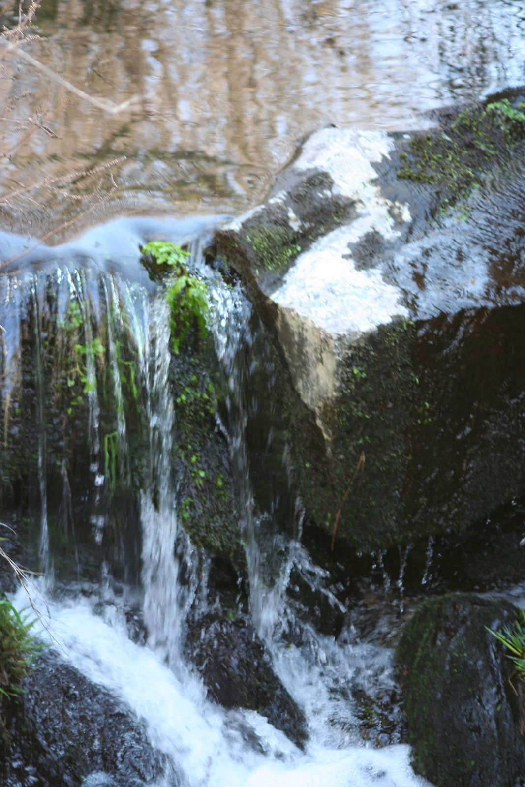 [Mar0903.JPG]