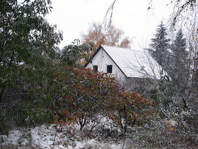 Das Blog November 2009