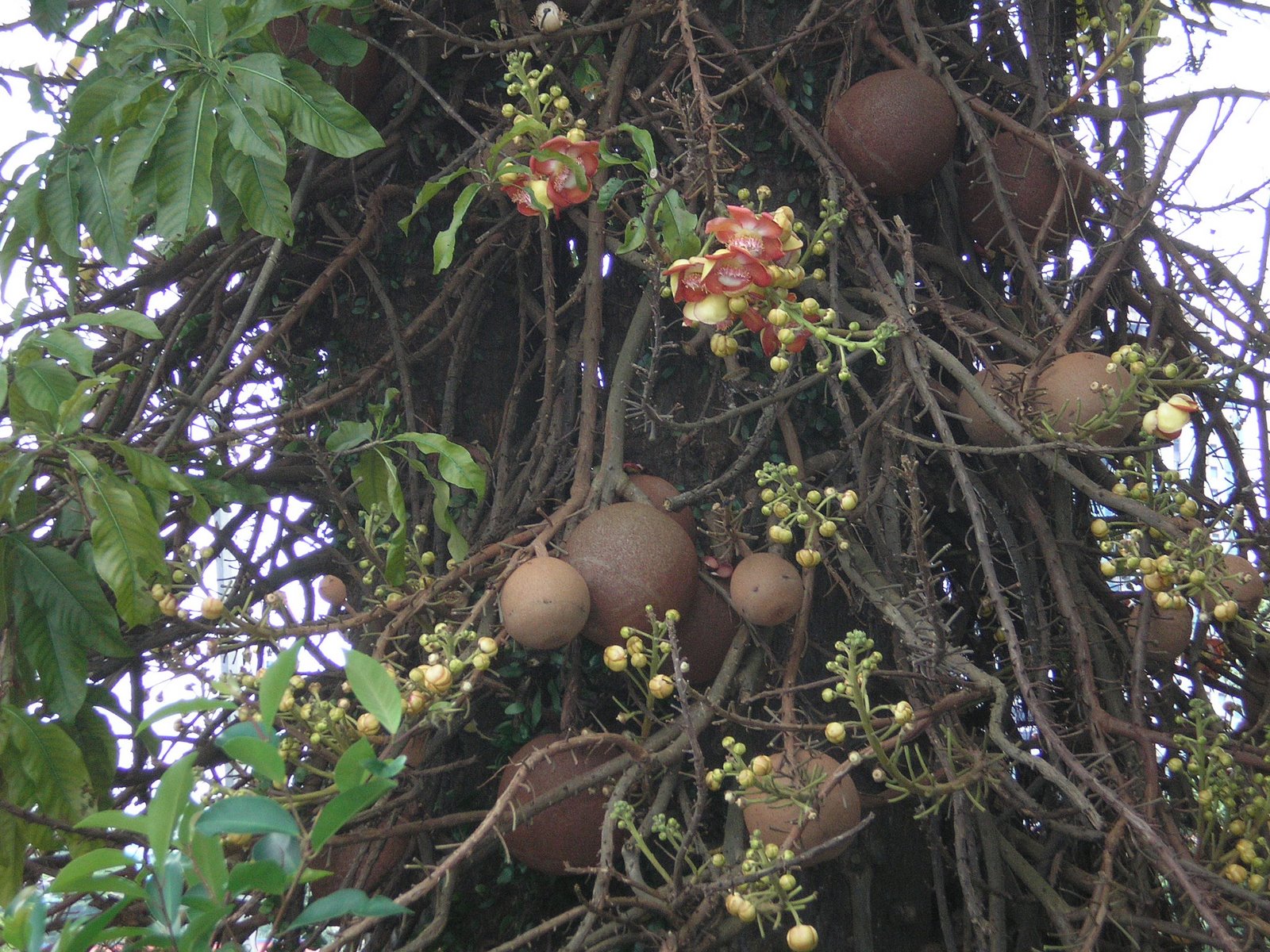 [PA240239.JPG]