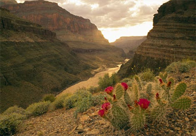 amaging world canyons across the world