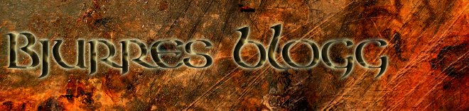 Bjurres blogg