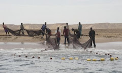 PESCADORES